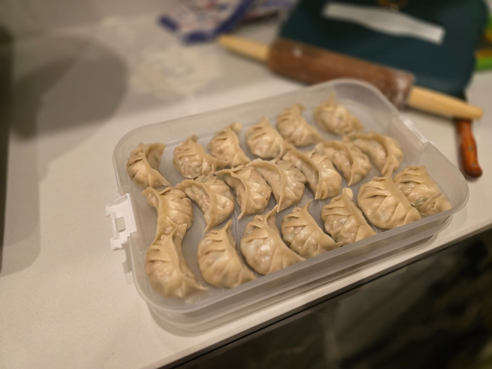 A tray of freshly pleated dumplings